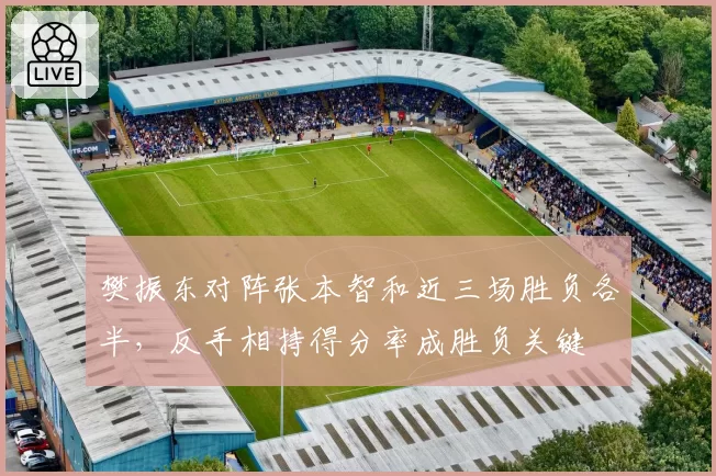 樊振东对阵张本智和近三场胜负各半，反手相持得分率成胜负关键