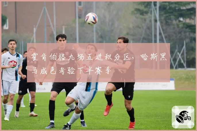 霍肯伯格九场五进积分区，哈斯黑马成色考验下半赛季