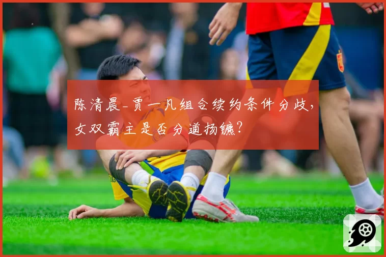 陈清晨_贾一凡组合续约条件分歧，女双霸主是否分道扬镳？