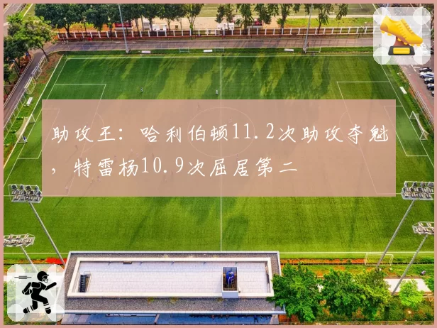 助攻王：哈利伯顿11.2次助攻夺魁，特雷杨10.9次屈居第二