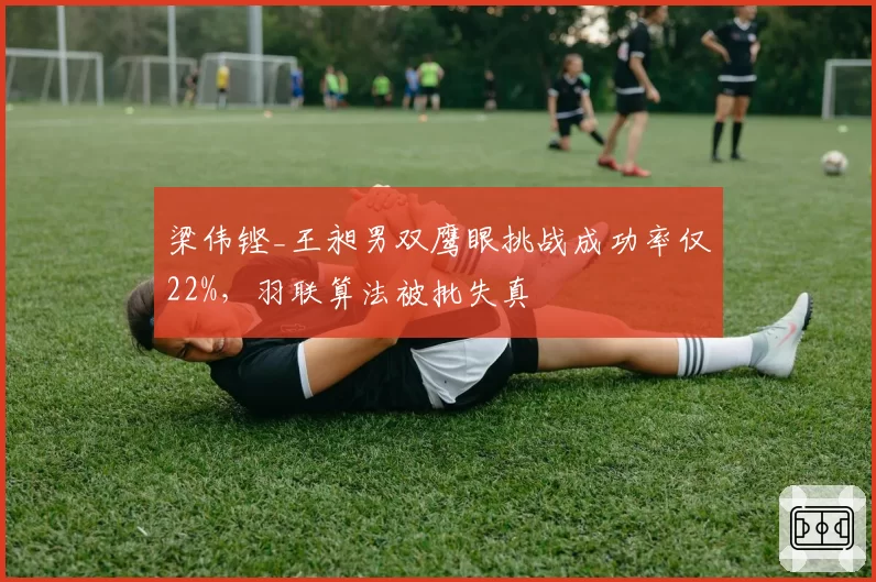 梁伟铿_王昶男双鹰眼挑战成功率仅22%,羽联算法被批失真